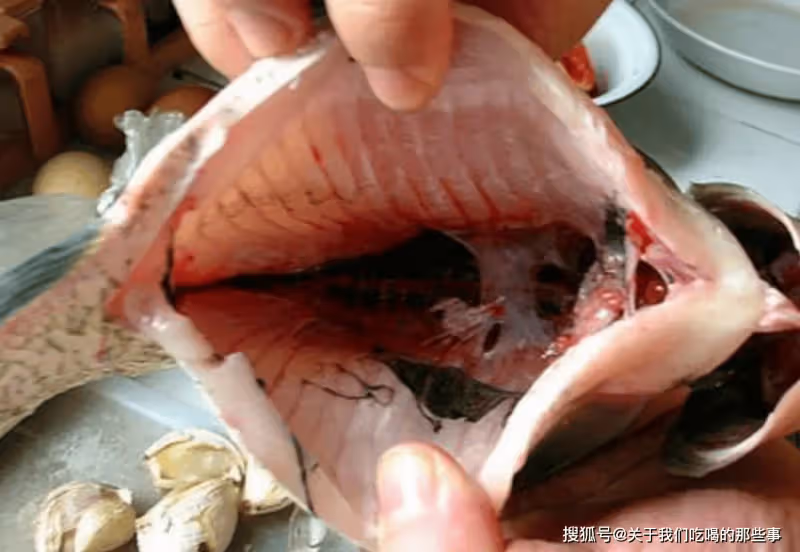 不管燉什麼魚，牢牢記住這3點，魚湯燉好又濃又白，鮮香沒腥味