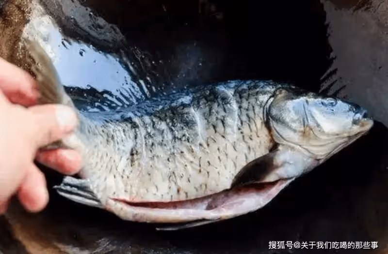 不管燉什麼魚，牢牢記住這3點，魚湯燉好又濃又白，鮮香沒腥味