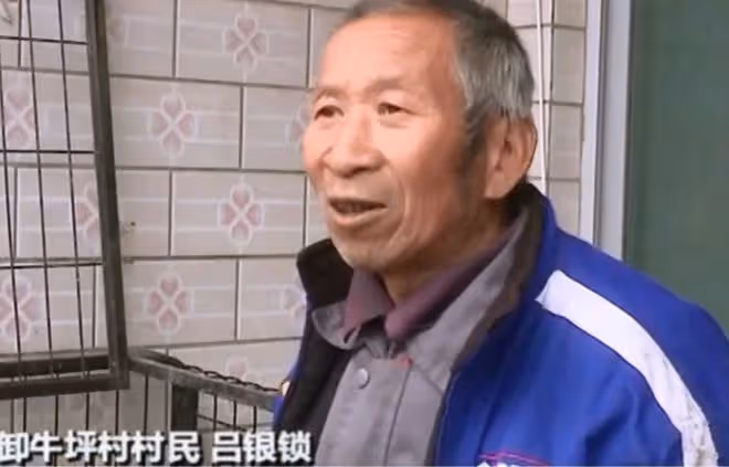 回顧老漢撿到一隻受傷大鳥,越看越奇怪,救了10天後出現神奇一幕