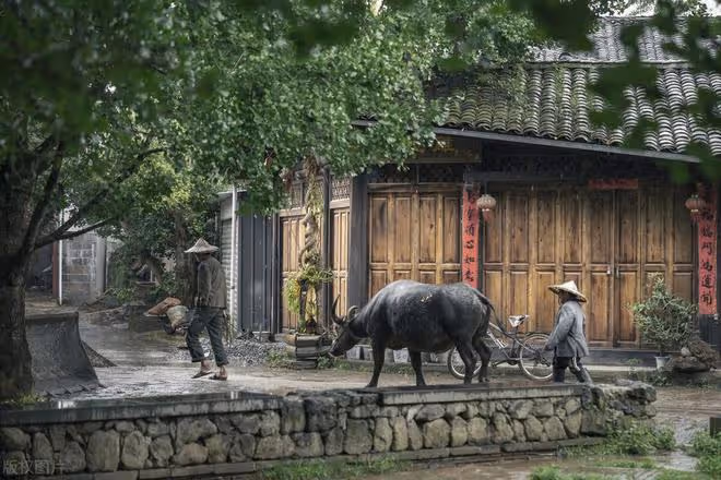 兩兒子打光棍責怪父母沒本事不管父母,父母收養了一個女兒