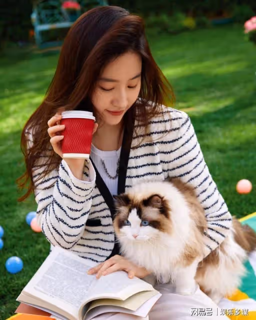 劉亦菲只愛宋承憲,大女生感情觀不輸黃亦玫,嚮往一起成長的愛情