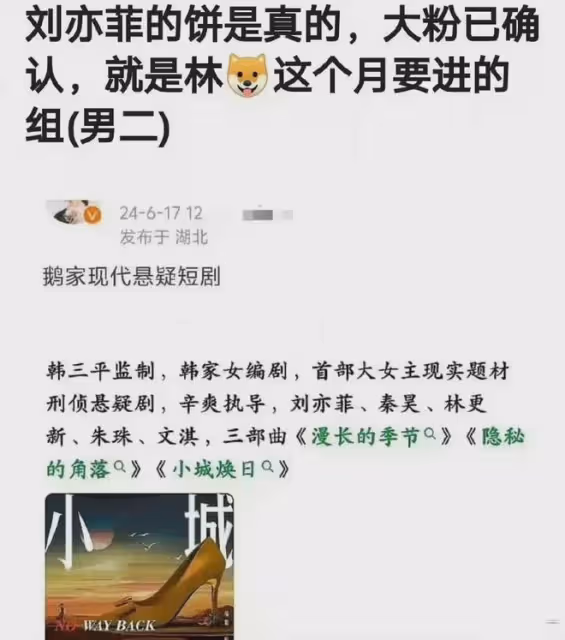 劉亦菲懸疑新劇《小城煥日》!漫長的季節導演,搭檔秦昊林更新