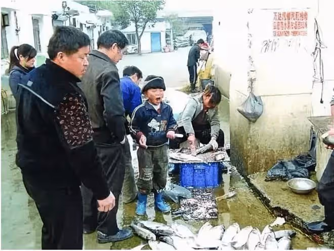 回顧:江蘇殺魚弟一夜爆紅,17歲喝下百草枯,最終卻因鬥毆獲刑