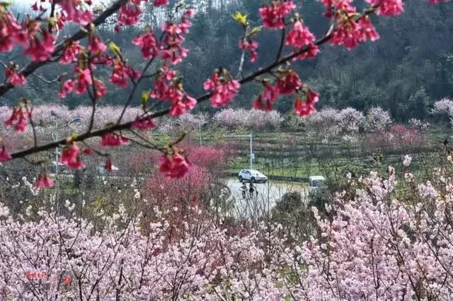 老公失業不願上班，婆婆讓兒媳把娘家妹妹叫來打工貼補家裡