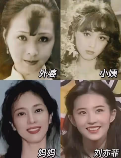 網友偶遇劉亦菲媽媽,65歲美到發光,優雅又高貴,比劉亦菲還漂亮