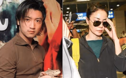 為了報復謝霆鋒?王菲秘密生下「三胎」女兒,網友:何必作踐自己