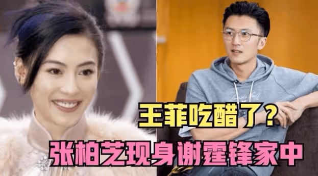 為了報復謝霆鋒?王菲秘密生下「三胎」女兒,網友:何必作踐自己
