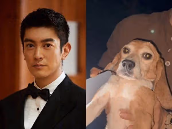 路邊發現小狗「頭破見血」 耳朵打編號+抽血沒反應…一查實驗犬