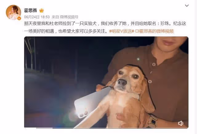 路邊發現小狗「頭破見血」 耳朵打編號+抽血沒反應…一查實驗犬