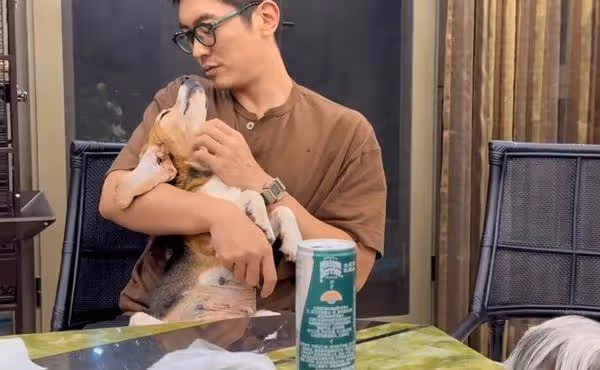 路邊發現小狗「頭破見血」 耳朵打編號+抽血沒反應…一查實驗犬