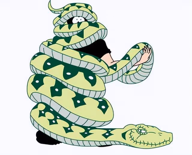 一個美國人找刺激,想體驗人在蟒蛇肚子裡的感覺,結果發生意外