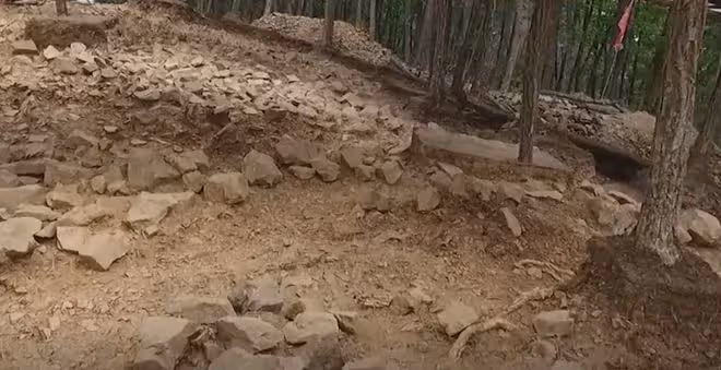 黑龍江一學生撿到奇怪「樹葉」,考古專家10元收走,今成鎮館之寶