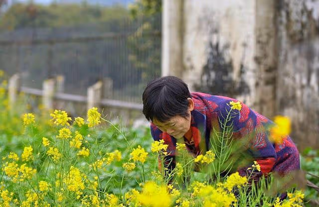 2011年女童被車碾壓,18位路人視而不見,救人的拾荒阿婆如今怎樣