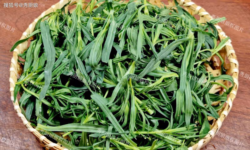 夏天使勁吃,一清熱、二護眼、三強免疫,夏天包餃子,實在太香了