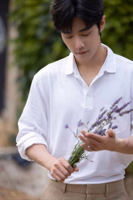肖戰身穿白衣漫步普羅旺斯,手握薰衣草乾淨治癒