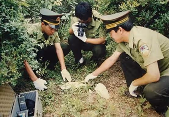 1993年，保定一玉米地里的一頭「死豬」，扯出24具裸體女屍大案