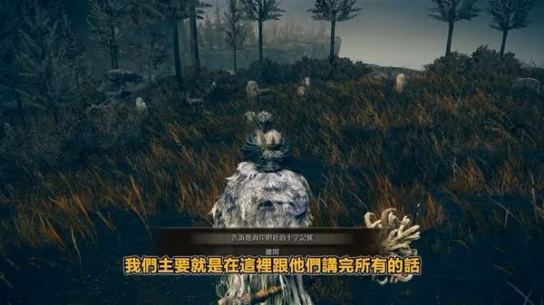 《艾爾登法環》DLC托莉娜與休里耶支線攻略