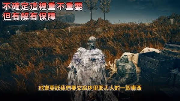 《艾爾登法環》DLC托莉娜與休里耶支線攻略