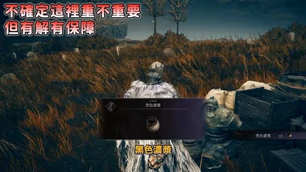 《艾爾登法環》DLC托莉娜與休里耶支線攻略