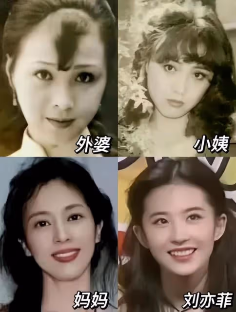 看完劉亦菲才發現,被母系家族全力托舉出來的孩子,真是不一樣!