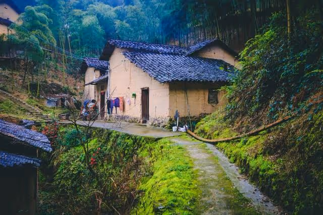 公公婆婆退休金高,我的工資養我農村父母,老公讓我和娘家人生活