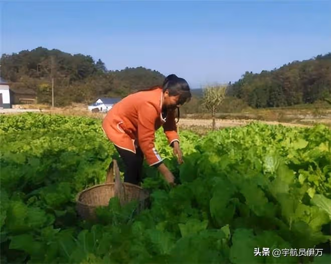 湖北女子攜癱瘓丈夫改嫁，10年間與兩任丈夫同吃同住，後來怎樣？