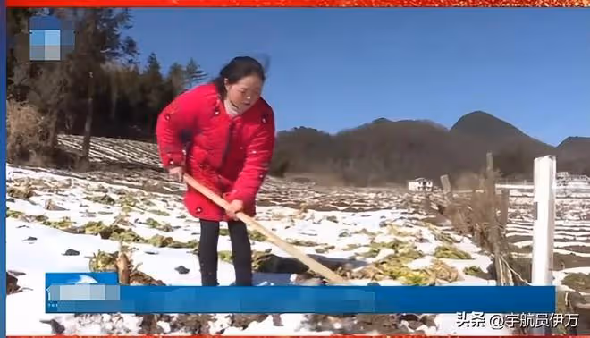 貴州女教師喪夫後帶公婆改嫁,生下孩子跟前夫姓,現任丈夫後悔嗎