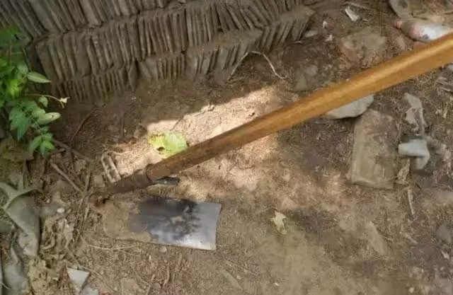 回顧上海一盜賊入獄後不吃米飯,引起獄警懷疑,調查後改判死刑