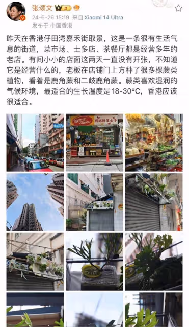 張頌文拍攝的香港又火啦！盒飯50元，半個月沒青菜吃，撐不住了！