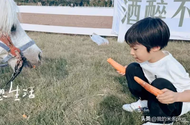 吳京老婆陪兒子學馬術,5歲吳慮拿胡蘿蔔喂小馬,比哥哥更像謝楠