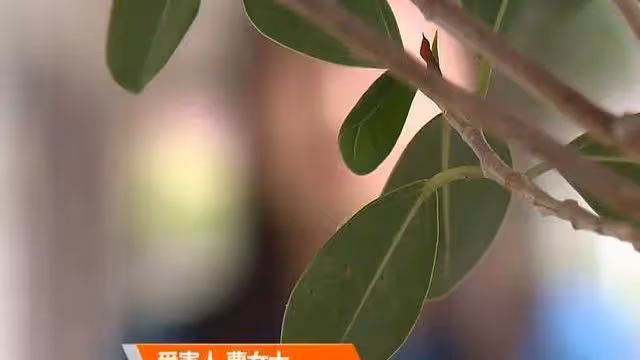 女子給男網友轉了100多萬,丈夫取錢買房發現,妻子:他是我弟弟