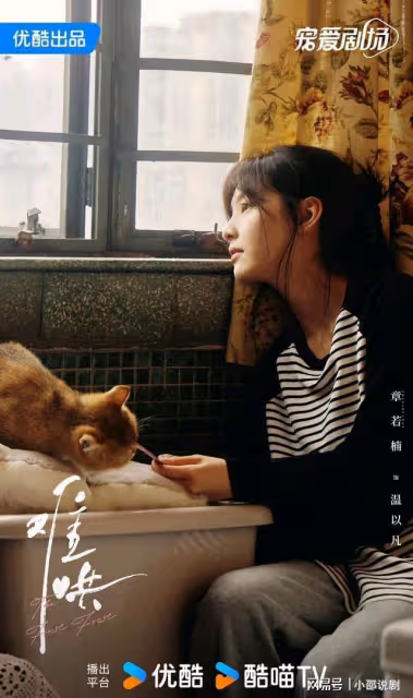 優酷又一部青春小甜劇來襲!閱讀衝破千萬,男主學生裝殺瘋了