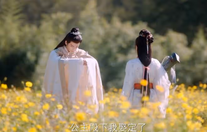 度年華原著小說叫什麼？《長公主》雙向重生雙向寵