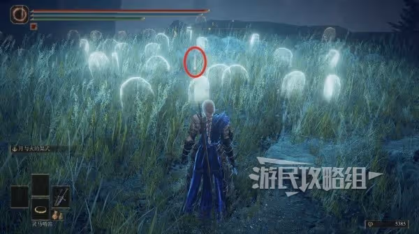 《艾爾登法環》DLC淚滴幼體位置匯總