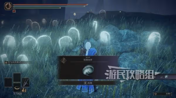 《艾爾登法環》DLC淚滴幼體位置匯總