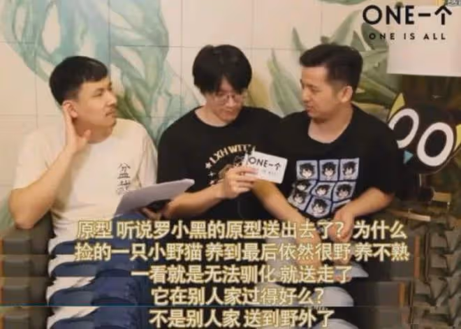 國漫羅小黑戰記作者塌房?自曝棄養原型黑貓,看到評論真繃不住了