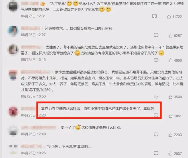 國漫羅小黑戰記作者塌房?自曝棄養原型黑貓,看到評論真繃不住了