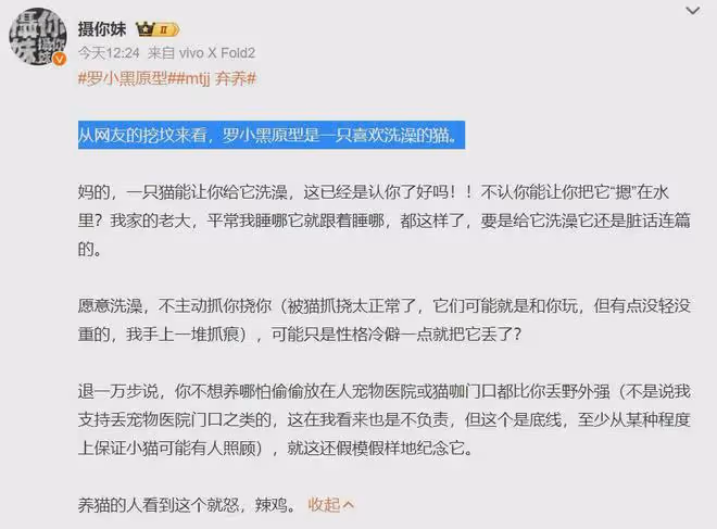 國漫羅小黑戰記作者塌房?自曝棄養原型黑貓,看到評論真繃不住了