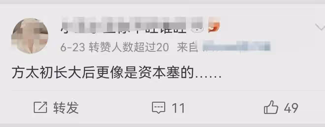 她成玫瑰的故事唯一敗筆!又黑又土完全不像劉亦菲,誰來演更合適
