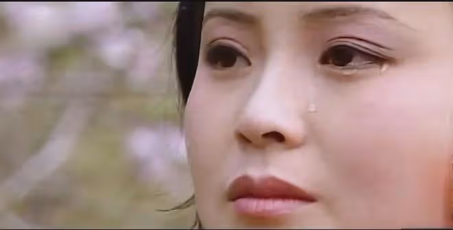 玫瑰的故事:原來他們是真夫妻,結婚39年0緋聞,現實比劇還幸福