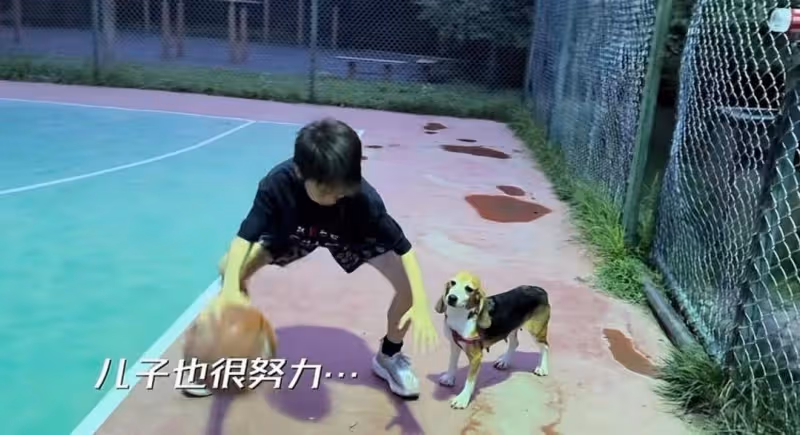杜江嗯哼阿那亞被偶遇，珍珠狀態好了很多，眼神明亮喜歡親近人了