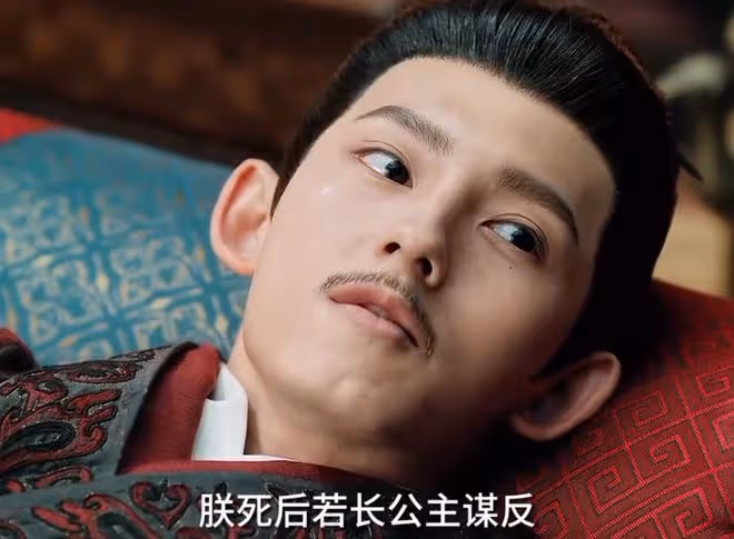 度年華李蓉是誰殺的?被皇族嫌棄的長公主的一生