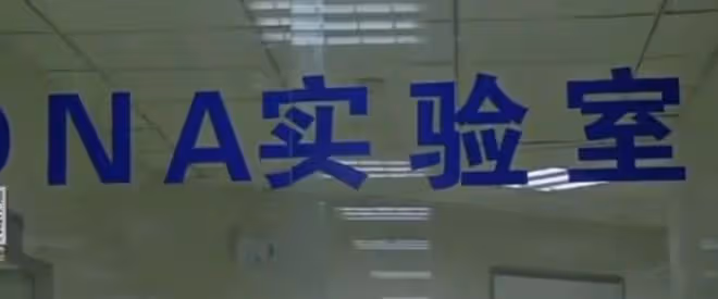 2003年三歲女兒擺攤時走失，17年後卻發現在隔壁，已結婚生子