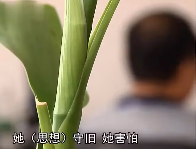 9年前,遼寧老兩口將162萬藏在床底,竟被人「誤打誤撞」洗劫一空