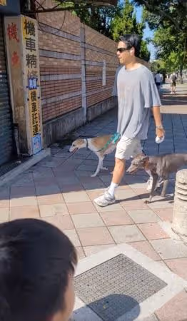 母拍兒上學！墨鏡帥哥遛狗入鏡　「一看是彭于晏」她嗨喊：誤打誤撞