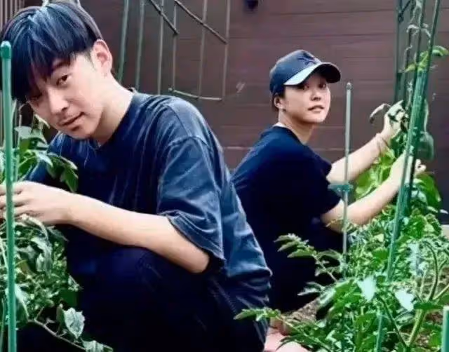 郝蕾在北京大別墅院子種菜，12歲兒子出鏡，已經開始長點鬍鬚了