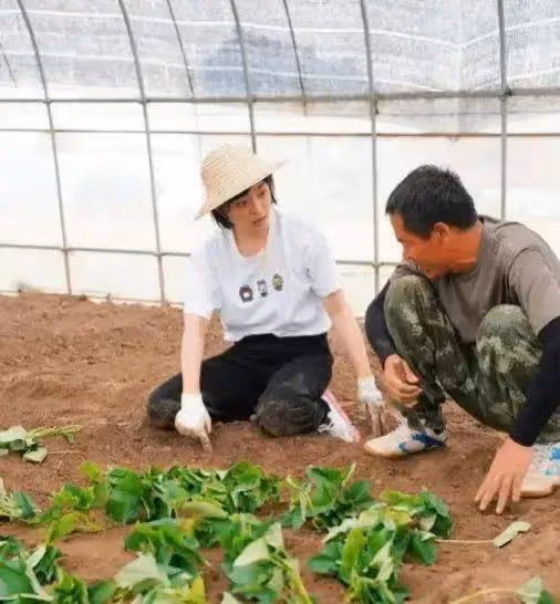 郝蕾在北京大別墅院子種菜，12歲兒子出鏡，已經開始長點鬍鬚了