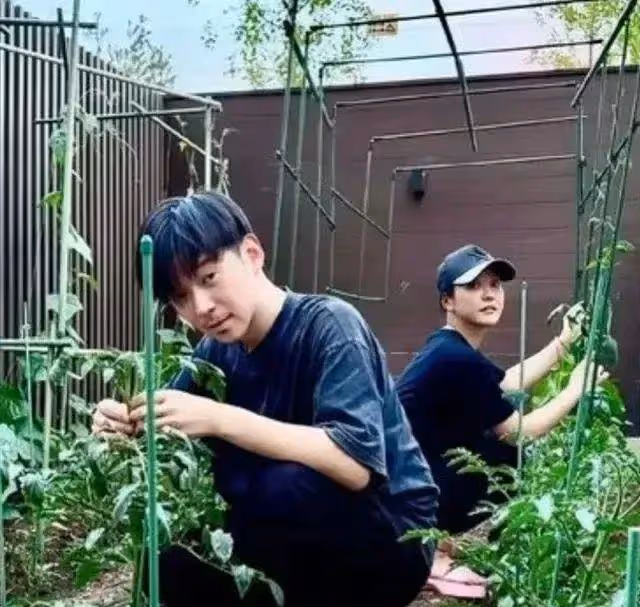 郝蕾在北京大別墅院子種菜，12歲兒子出鏡，已經開始長點鬍鬚了