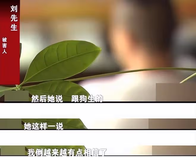 富商養情婦7年,生仨娃花2000萬,2019年得知:娃都不是自己的