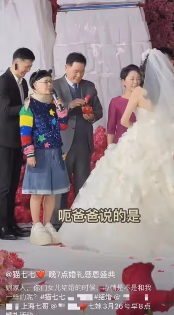 夫妻本是同林鳥,但抱歉,這一次王寧也挽救不了「金龜子」劉純燕
